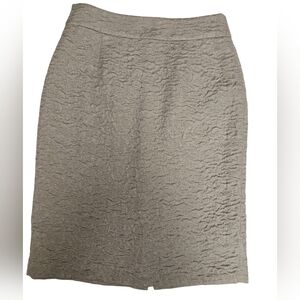 Banana Republic Textured Champagne Pencil Skirt Size 2